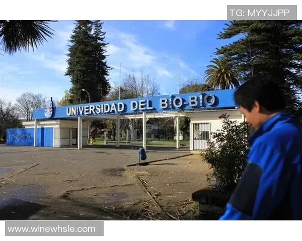 克鲁赛与智利大学的激烈对决揭示足球战术与团队合作的魅力